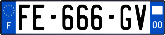 FE-666-GV