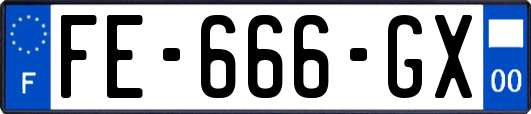 FE-666-GX
