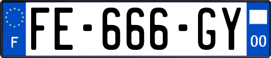 FE-666-GY