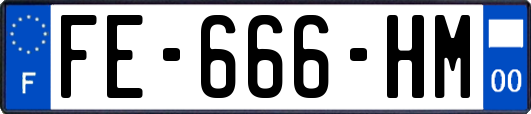 FE-666-HM