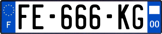 FE-666-KG