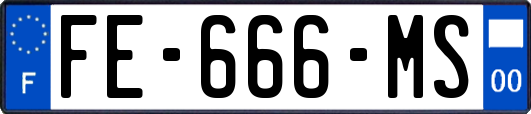 FE-666-MS