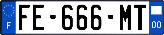 FE-666-MT