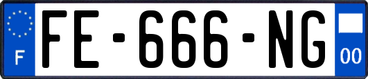 FE-666-NG