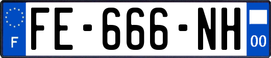 FE-666-NH