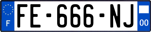 FE-666-NJ