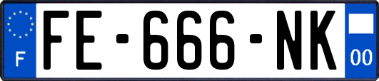 FE-666-NK