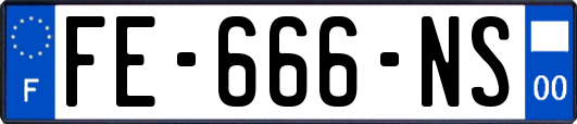 FE-666-NS