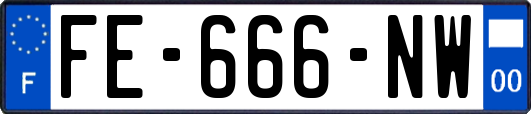 FE-666-NW