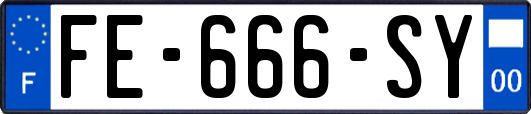 FE-666-SY