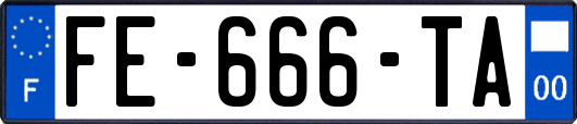 FE-666-TA