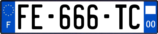 FE-666-TC