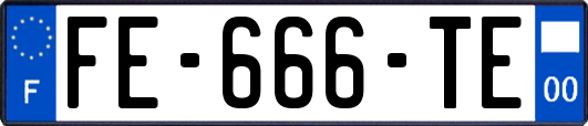 FE-666-TE