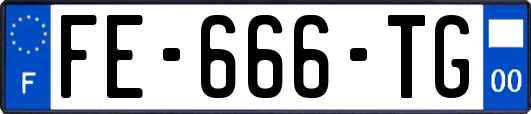 FE-666-TG