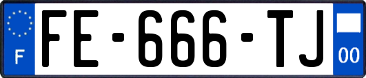 FE-666-TJ
