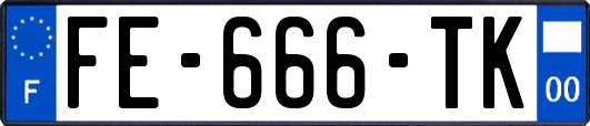 FE-666-TK