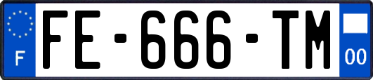 FE-666-TM