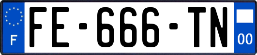 FE-666-TN
