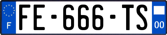 FE-666-TS