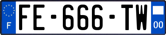 FE-666-TW