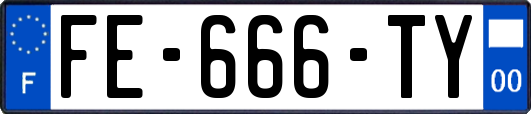 FE-666-TY