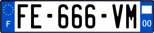 FE-666-VM