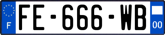 FE-666-WB