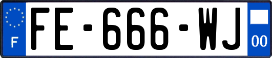 FE-666-WJ