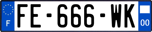 FE-666-WK