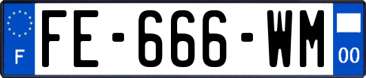 FE-666-WM