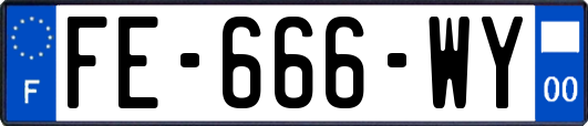 FE-666-WY