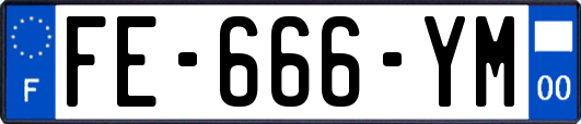 FE-666-YM