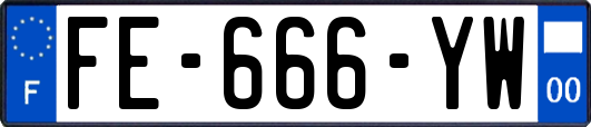 FE-666-YW