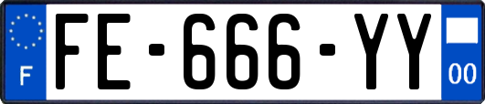 FE-666-YY