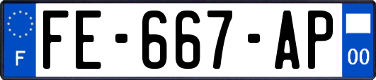 FE-667-AP