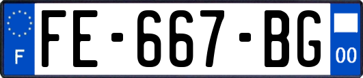 FE-667-BG