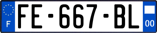 FE-667-BL