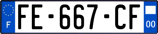 FE-667-CF