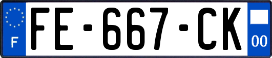 FE-667-CK