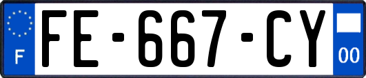 FE-667-CY