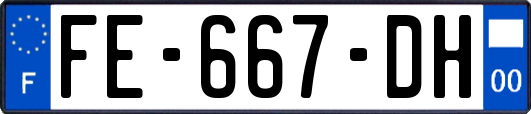 FE-667-DH