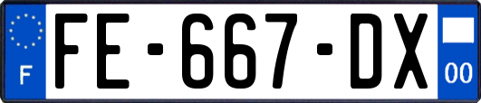 FE-667-DX