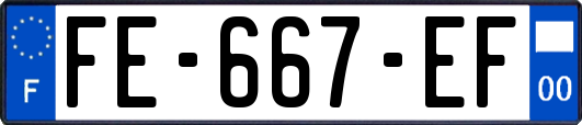 FE-667-EF