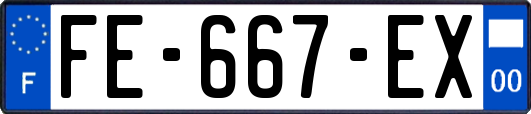 FE-667-EX