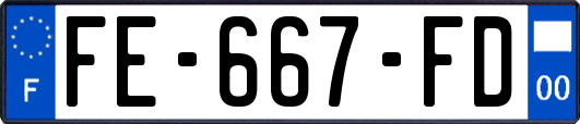 FE-667-FD