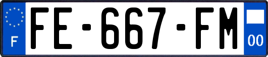 FE-667-FM