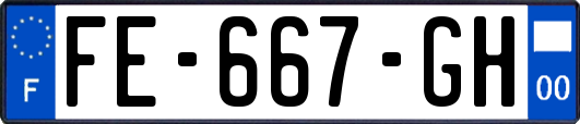 FE-667-GH