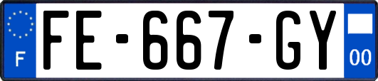 FE-667-GY