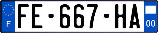 FE-667-HA
