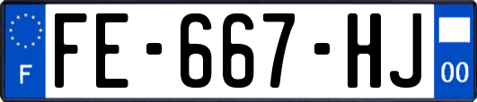 FE-667-HJ